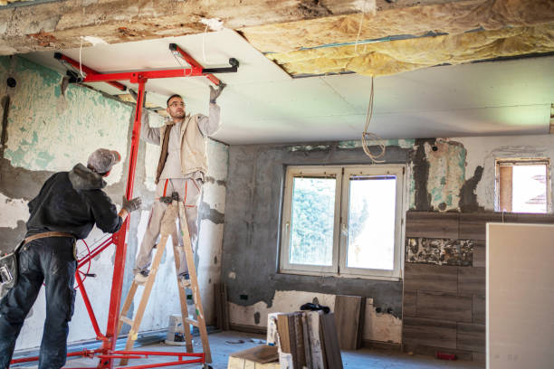 Best Insulation Installation Services in New Hope, MN
